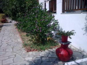 Zahrada ubytování Liossis Rooms & Apartments