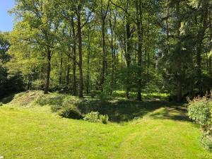 a grassy field with trees and a field of grass at Domaine de la Juranvillerie, gîte et chambres d'hôtes in Rigny-Ussé