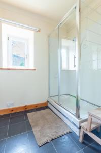 4 Still Brae في تاربيت: كشك للاستحمام في غرفة مع سجادة