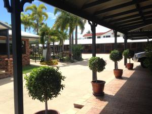 a group of potted trees in pots on a patio at Country Ayr Motel in Ayr