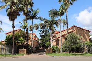 a row of palm trees in front of a building at Pacific Palms Thirroul Beach NSW in Thirroul