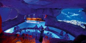 Bazén v ubytování Sieben Welten Hotel & Spa Resort nebo v jeho okolí
