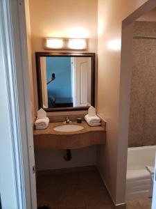 a bathroom with a sink and a mirror at Hotel Portlight in Wilmington