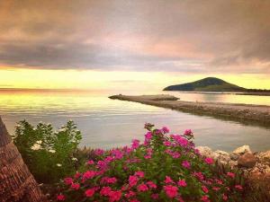 Gallery image of Golden Point Resort in Rakiraki