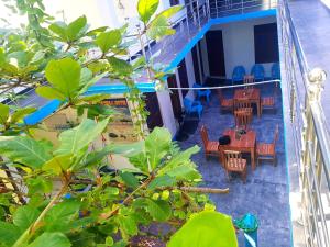 Rõdu või terrass majutusasutuses Natraj Guest House