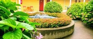 Zahrada ubytování GuestHouse Inn Enumclaw