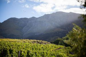 
a mountain range with trees and mountains at Maison Montagne in Franschhoek
