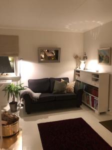 a living room with a couch and a book shelf at Idyllisk sørlandshus in Risør