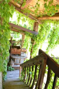 Zahrada ubytování Agriturismo Torrazzetta