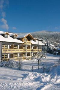 ein großes Holzgebäude im Schnee mit Schnee in der Unterkunft Appart-Hotel Wildererstuben in Bodenmais