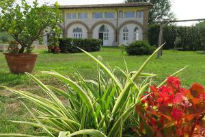 Rivoli VeroneseにあるAgriturismo Villa Stellaの庭前植物家