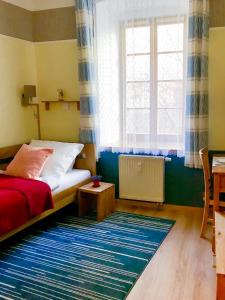 a small bedroom with a bed and a blue rug at Golden Wood Apartments in Pilsen