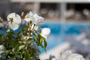 Piscine de l'établissement Le Mas Bellevue ou située à proximité