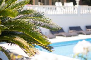 un palmier en face d'une piscine dans l'établissement Le Mas Bellevue, à Saint-Tropez