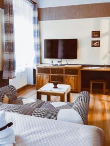 ein Wohnzimmer mit einem Sofa und einem Flachbild-TV in der Unterkunft Golden Wood Apartments in Pilsen