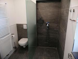 a bathroom with a toilet and a shower at Falkenapartment Berlin in Berlin