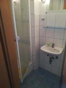 a bathroom with a sink and a shower at Reit- und Ferienhof Emstal in Fritzlar