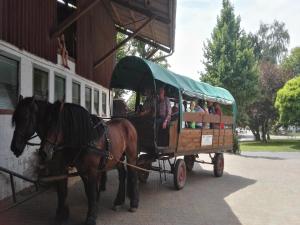 a group of people riding in a horse drawn carriage at Reit- und Ferienhof Emstal in Fritzlar