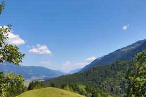 科次察赫的住宿－Gasthof Lamprechtbauer，享有山脉山谷的景色