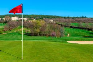 a red flag on a green golf course at Domaine De Saint Clair Spa & Golf in Saint-Clair