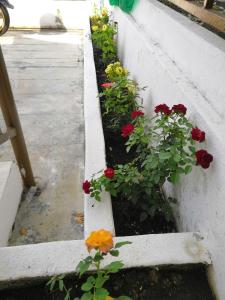 a planter of flowers on the side of a building at JSW Inn in Gelugor