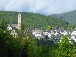 eine Stadt mit einem Uhrturm vor einem Berg in der Unterkunft Apartment-Sauerland in Schmallenberg