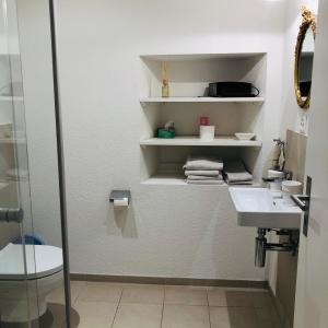 La salle de bains est pourvue d'un lavabo, de toilettes et d'une douche. dans l'établissement Gast und Hof Spittel, à Langenbruck