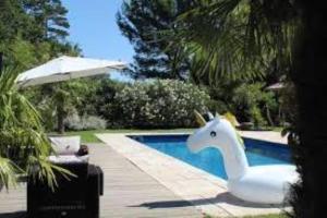 - un cheval blanc assis à côté d'une piscine dans l'établissement La Roulotte de Negra, à Montesquieu-Lauragais