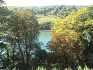 Imagine din galeria proprietății Woodlands în Looe