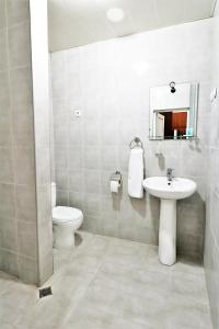 La salle de bains est pourvue d'un lavabo, de toilettes et d'un miroir. dans l'établissement Ortachala Palace, à Tbilissi