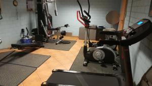 a gym with several exercise bikes in a room at Ferienhof Welsch Wohnung 2 in Großefehn 