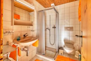 a bathroom with a shower and a sink and a toilet at Chasa Plajet in Ramosch