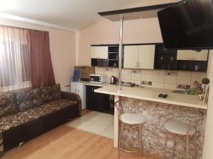 een woonkamer met een bank en een keuken met een aanrecht bij Studio apartments in center NEW 5 floor in Ivano-Frankivsʼk