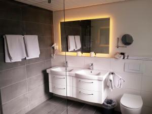 a bathroom with a sink and a mirror and a toilet at Gasthaus Hotel Kranz in Laufenburg