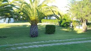 En trädgård utanför Pedras D'el Rei - Charmosa Vivenda T3