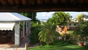 - une vue sur une cour avec une maison et un palmier dans l'établissement Le Moulin De La Baie vue mer, à Le Moule