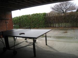 Stolní tenis v ubytování Vakantiehuis in de velden met zwemvijver en Jeu de Boules baan nebo okolí