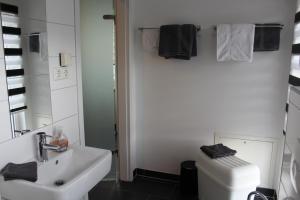 a bathroom with a sink and a toilet and a mirror at Ferienwohnung am Park in Erfurt