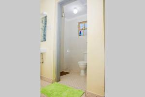 La salle de bains est pourvue de toilettes et d'un tapis vert. dans l'établissement Ol marei Home, à Nanyuki