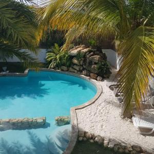 Πισίνα στο ή κοντά στο B2 APARTMENT with Balcony at JAN THIEL Curacao