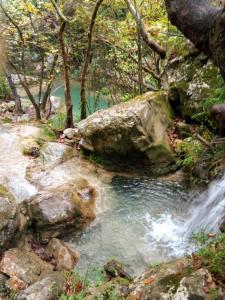 Fotografia z galérie ubytovania Villa Iremia v destinácii Chrani