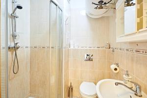 a bathroom with a shower and a toilet and a sink at Apartmán Klínovec 365 in Loučná pod Klínovcem