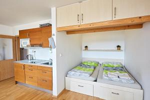 Kuchyň nebo kuchyňský kout v ubytování Apartmán Klínovec 365 + 37 fotografií