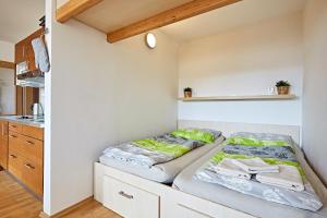Kuchyň nebo kuchyňský kout v ubytování Apartmán Klínovec 365