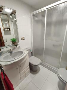 ein Badezimmer mit Dusche, Waschbecken und Toilette in der Unterkunft Apartamentos Avenida de la paz 2 in Logroño + 14 Fotos