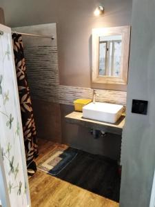 een badkamer met een wastafel en een spiegel bij Escale in Blue Bay