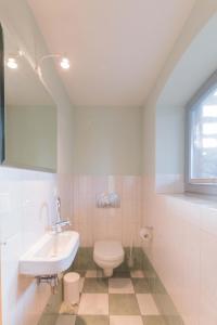 La salle de bains est pourvue d'un lavabo et de toilettes. dans l'établissement Dünenhof DÜNENHOF Whg. D-05, à Wustrow