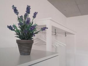 a vase with purple flowers sitting on a shelf at Atrium Apartments in Schaffhausen