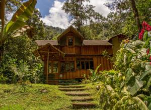 a house in the woods with stairs leading to it at Mindo Garden Lodge and Wildlife Reserve in Mindo