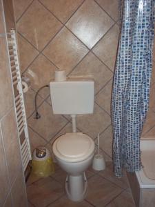 Koupelna v ubytování Rooms Žigić